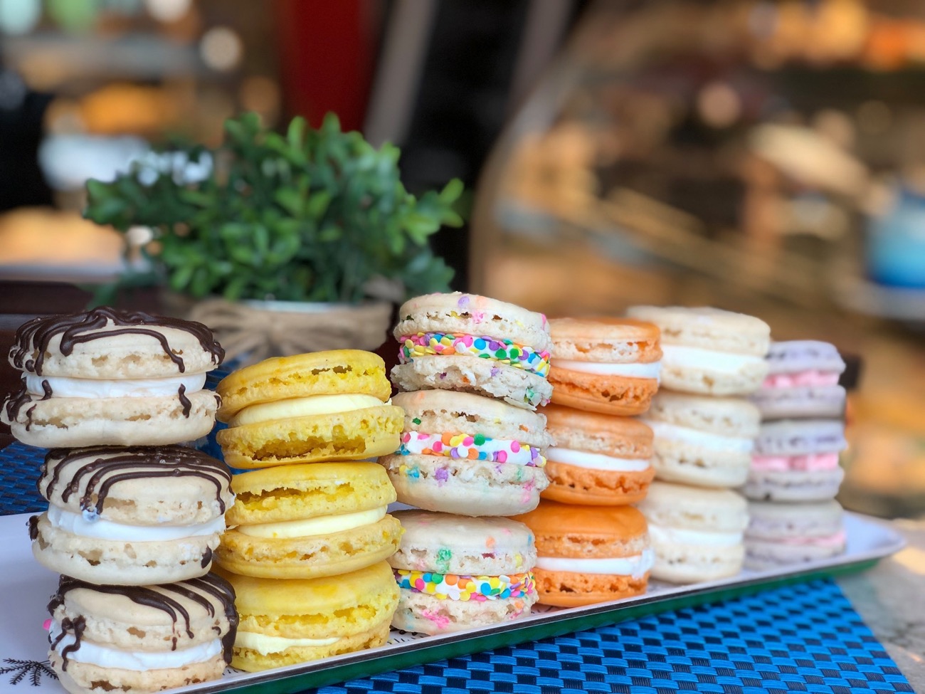 Pastries by the Chrusciki Bakery, Buffalo NY